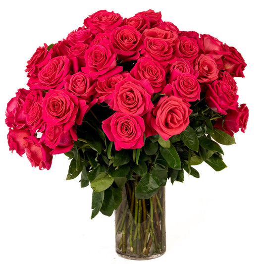 Vibrant bouquet of pink roses in a clear glass vase, perfect for any special occasion.