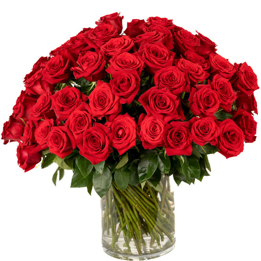 A stunning bouquet of 50 red roses elegantly arranged in a glass vase, symbolizing love and passion.