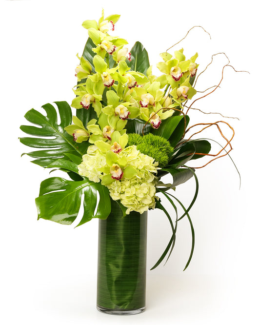 Elegant green orchid arrangement in a tall glass vase, complemented by lush greenery and textured accents.