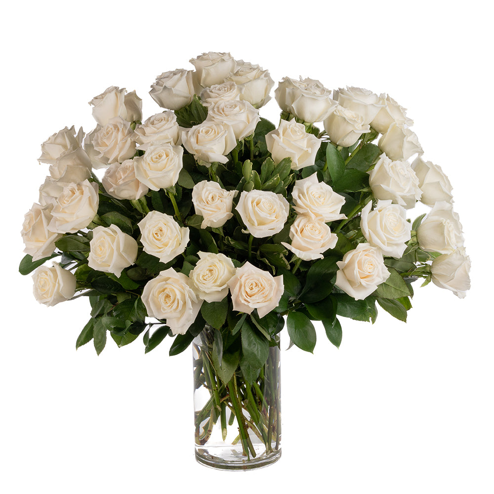 Four Dozen White Long Stem Roses