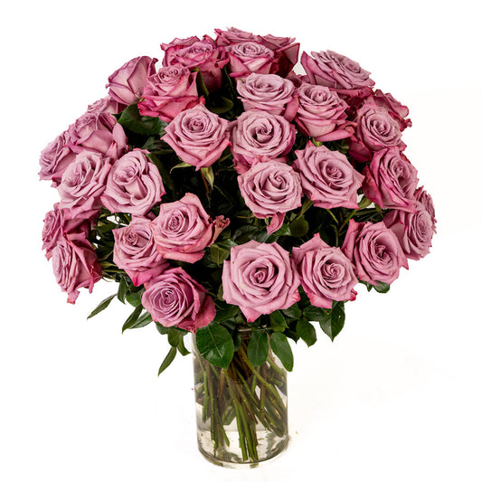 A stunning bouquet of 25 lavender roses arranged elegantly in a clear glass vase.
