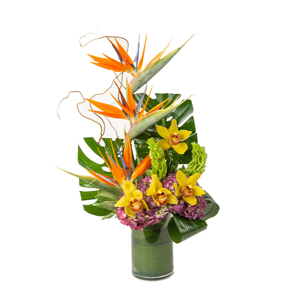 Vibrant tropical flower arrangement featuring bird of paradise, orchids, and lush greenery in a modern vase.