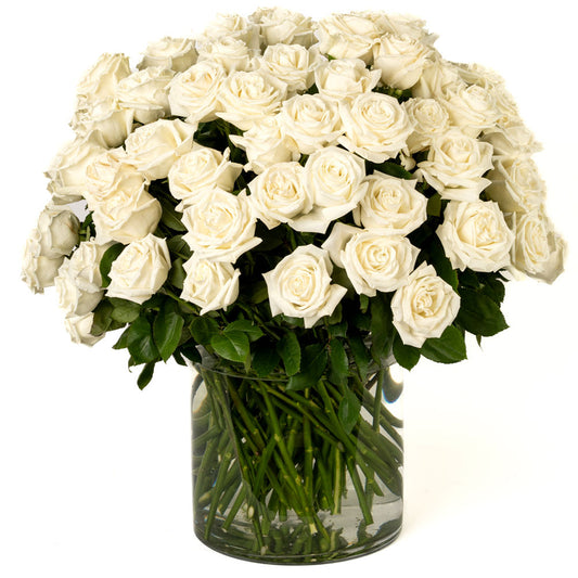 A stunning arrangement of fresh white roses in a glass vase, perfect for any elegant occasion.