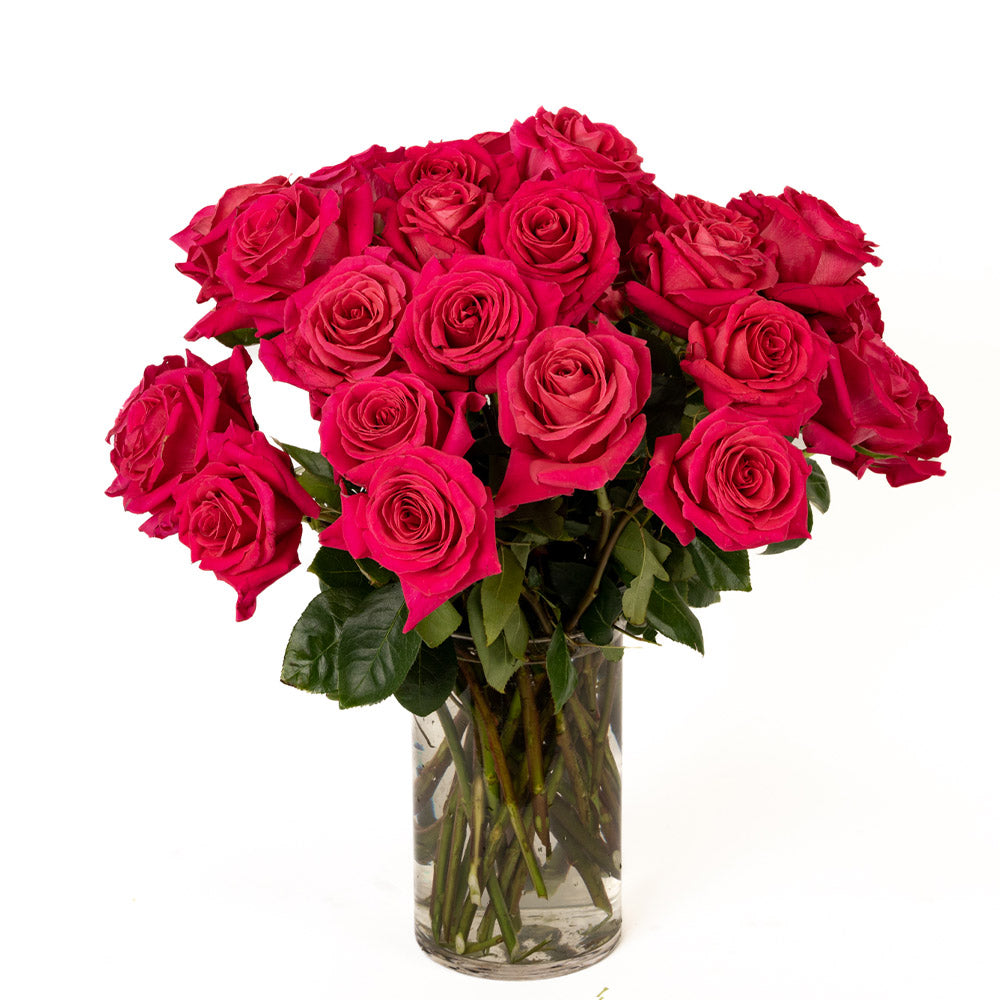 Three Dozen Hot Pink Long Stem Roses