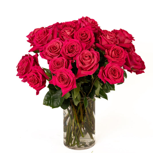 Vibrant bouquet of 18 deep pink roses arranged in a clear glass vase, perfect for any occasion.