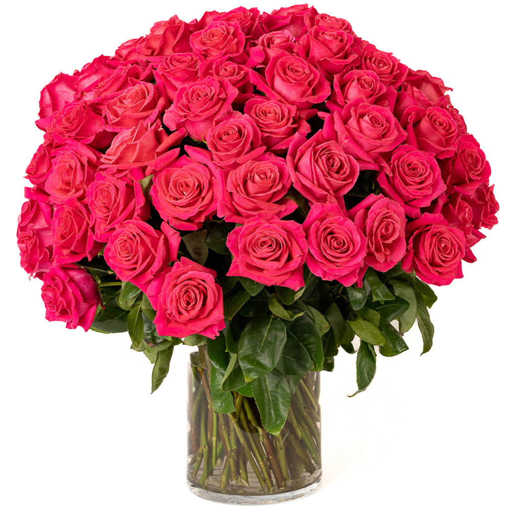 100 Hot Pink Long Stem Roses