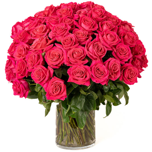 Vibrant pink roses beautifully arranged in a clear glass vase, perfect for any special occasion.