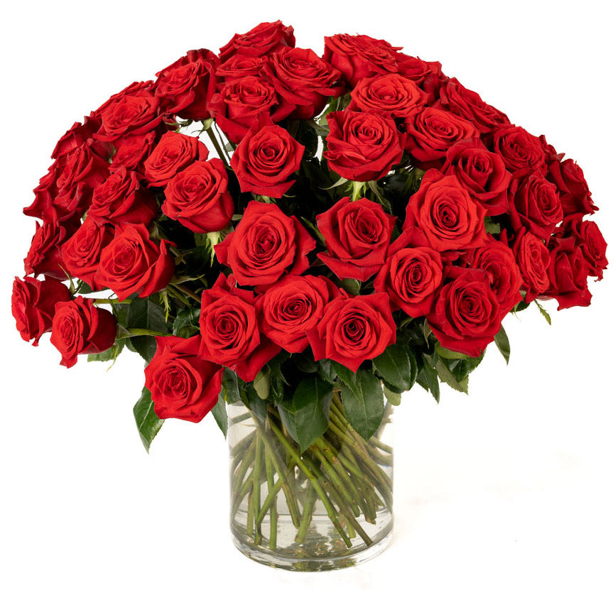 Four Dozen Red Long Stem Roses