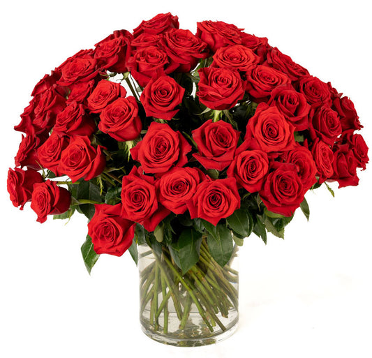 A stunning bouquet of fresh red roses arranged elegantly in a clear glass vase.