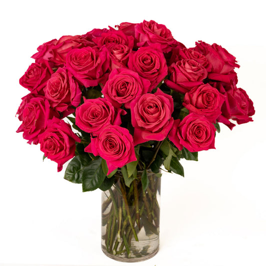 Vibrant pink roses arranged beautifully in a clear glass vase, perfect for any occasion.