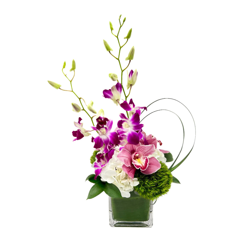Elegant arrangement of purple and white orchids with greenery in a modern glass vase. Perfect for any occasion.
