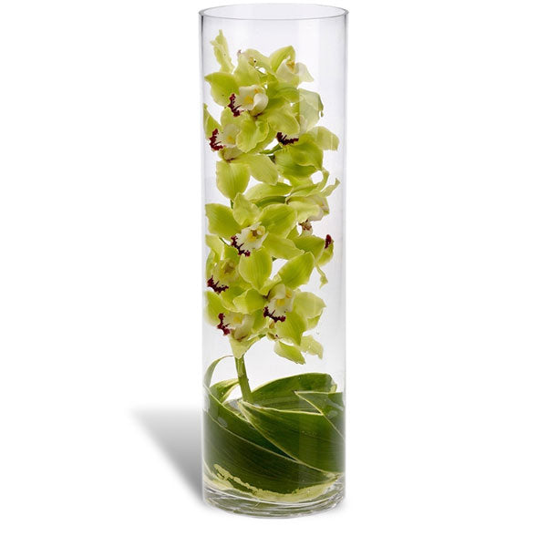 Elegant green orchid arrangement in a tall glass vase, perfect for adding a touch of nature to any decor.