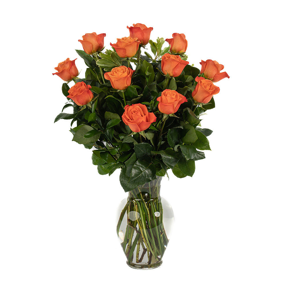 One Dozen Orange Long Stem Roses