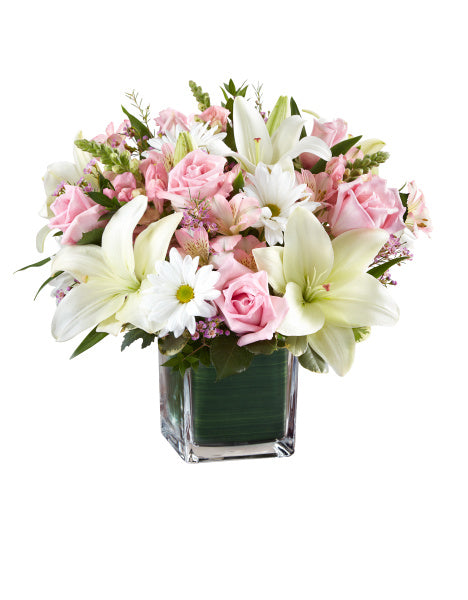 HEALING TEARS IN PINK AND WHITE