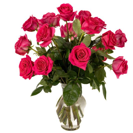 18 Hot Pink Long Stem Roses