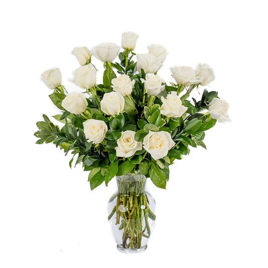 18 White Long Stem Roses