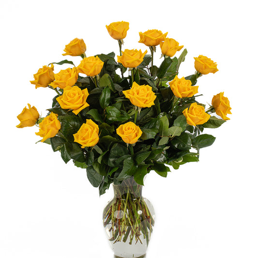 18 Yellow Long Stem Roses