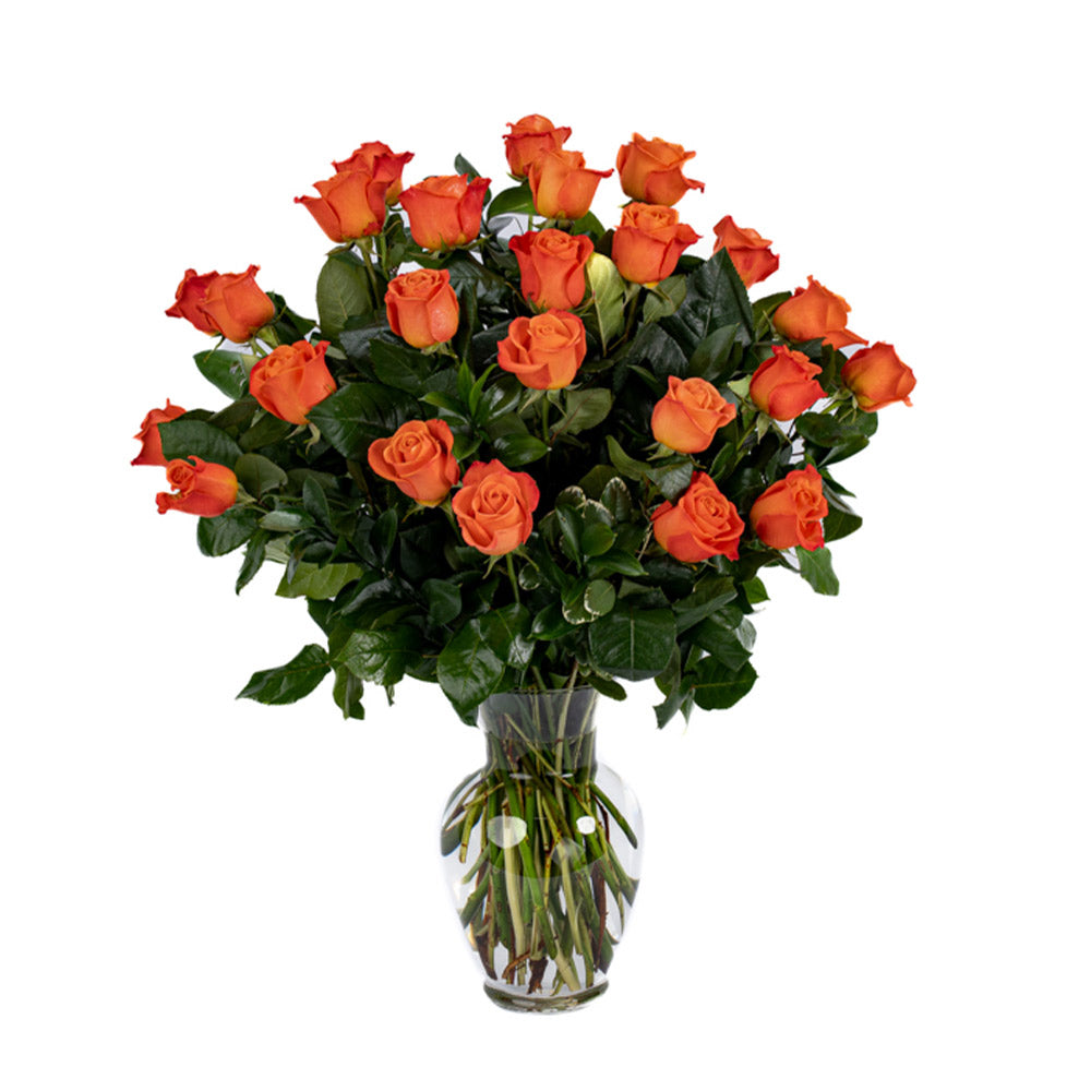 Two Dozen Orange Long Stem Roses