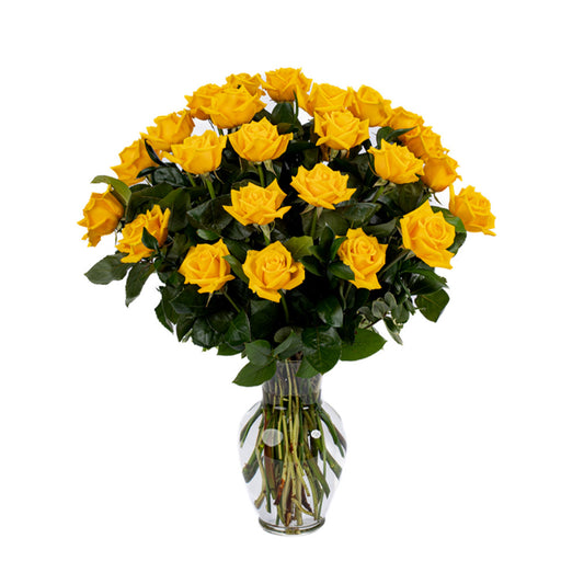 Two Dozen Yellow Long Stem Roses