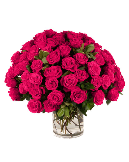 Hot Pink Roses - Choose a Size