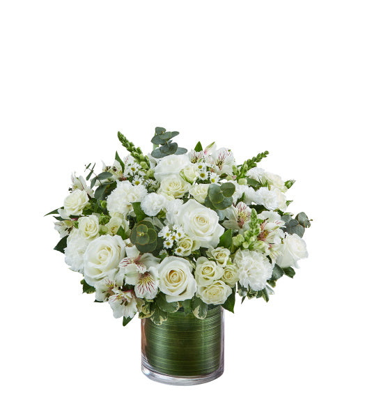 CHERISHED MEMORIES IN WHITE