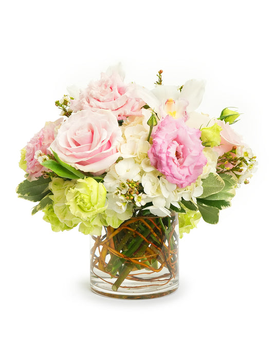 Blushing Bunch
