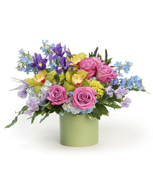 Delphinium Drift