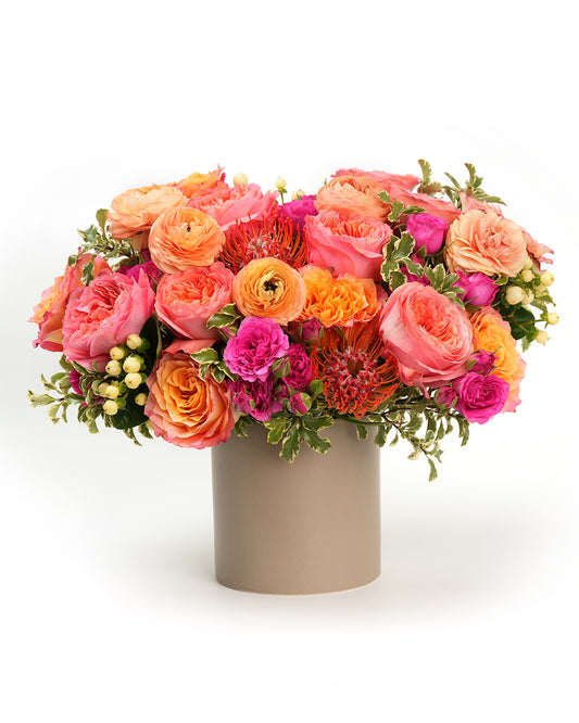 Enchanting Apricot