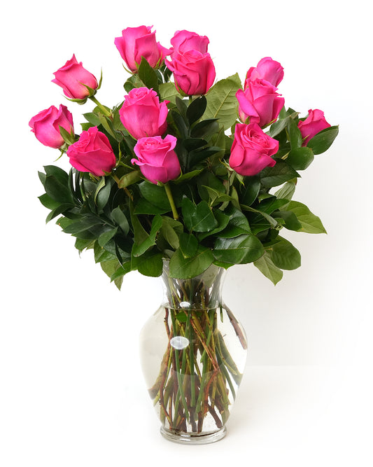 One Dozen Hot Pink Long Stem Roses