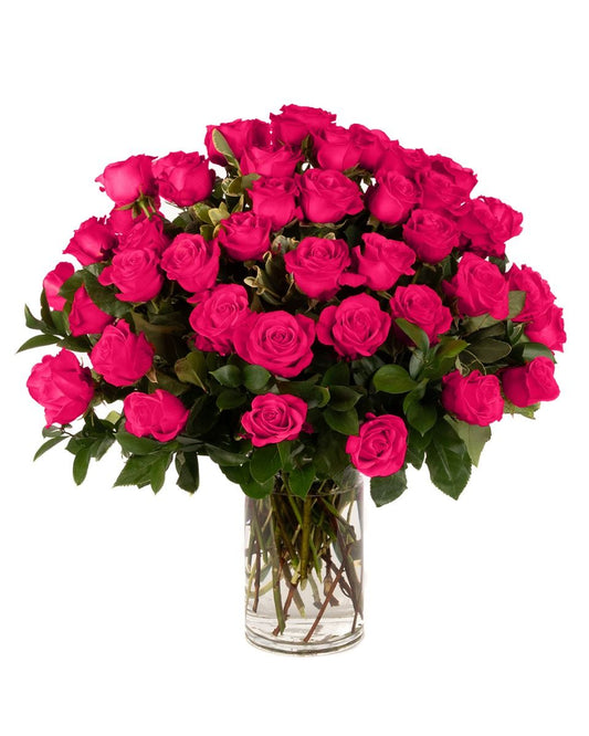 Double the Dozens 24= 48 Hot Pink Roses