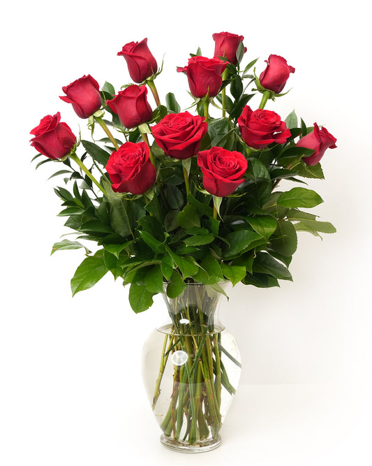 One Dozen Red Long Stem Roses