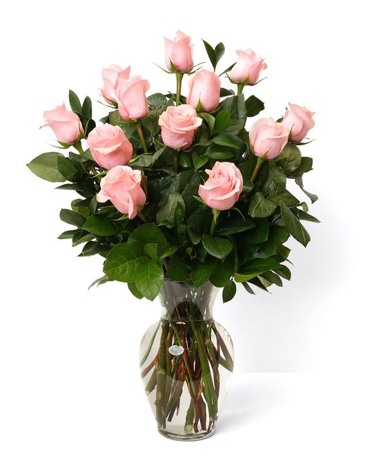 One Dozen Soft Pink Long Stem Roses