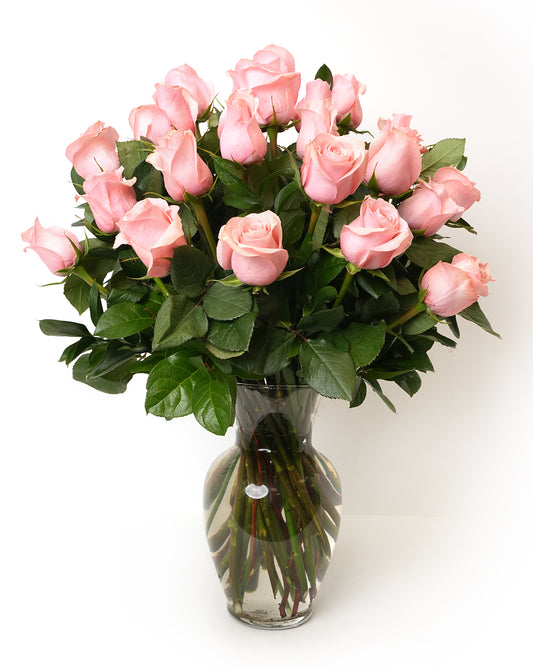Two Dozen Soft Pink Long Stem Roses