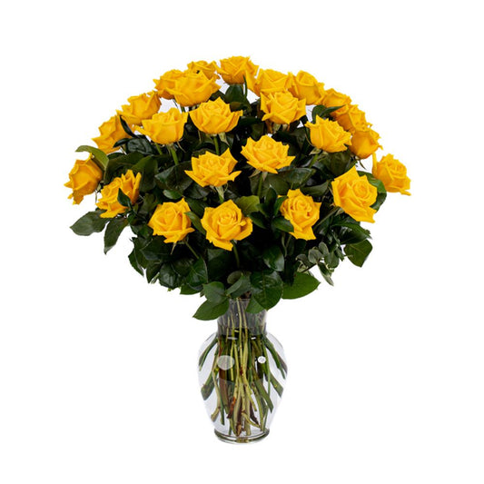 Double the Dozens 12 = 24 Yellow Roses