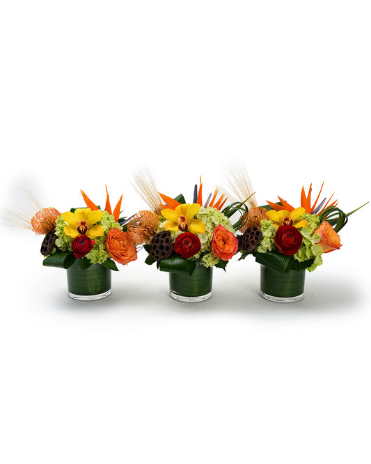 Trio of Thanks