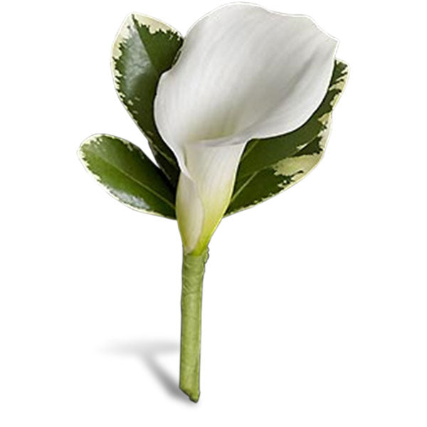 Elegant white calla lily boutonniere with green leaves, perfect for weddings and special occasions.