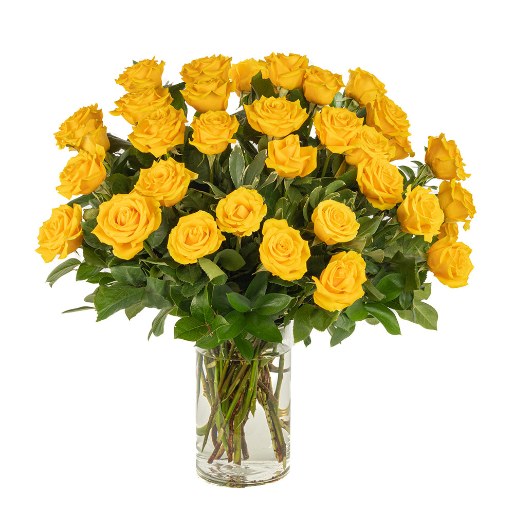 Three Dozen Yellow Long Stem Roses