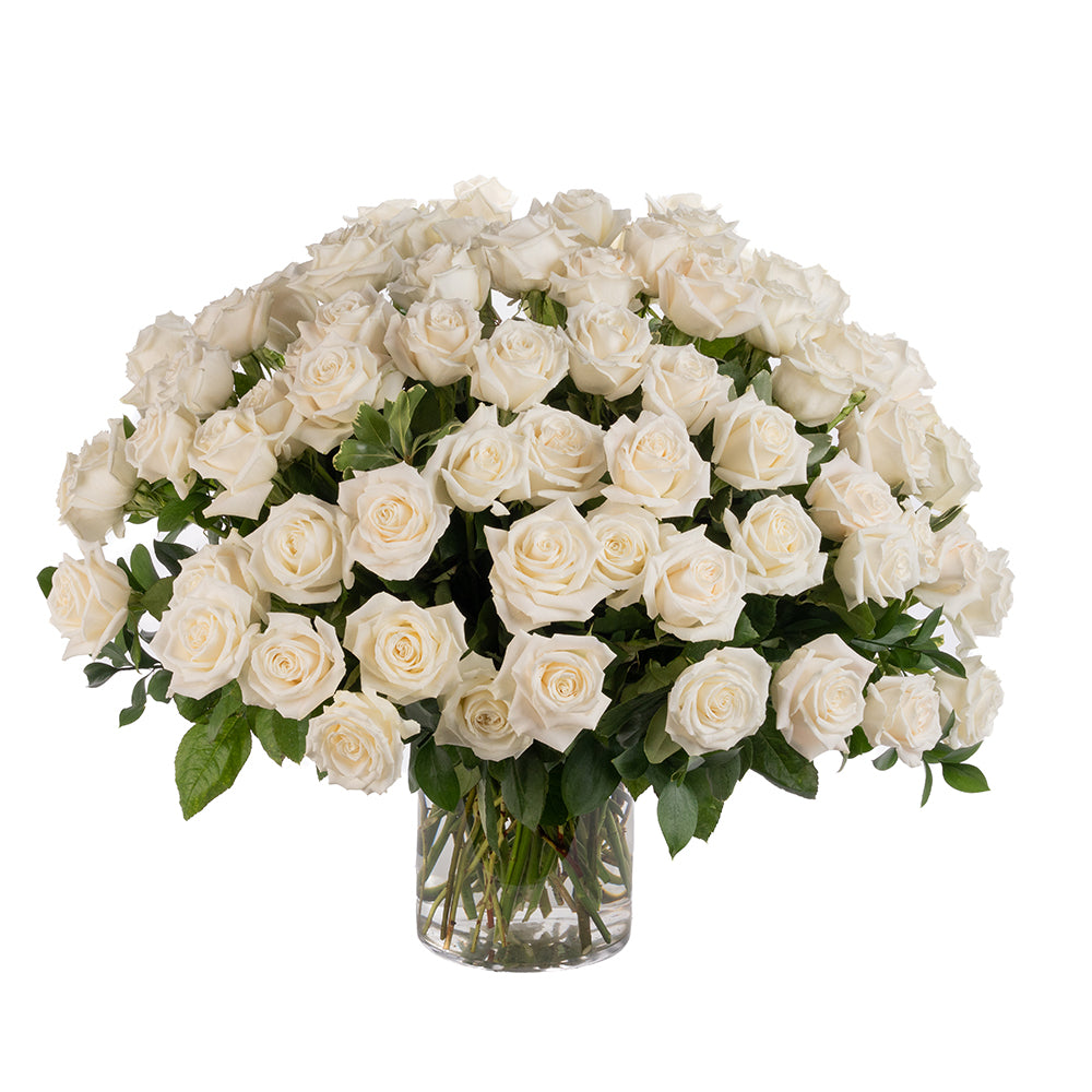 75 White Long Stem Roses