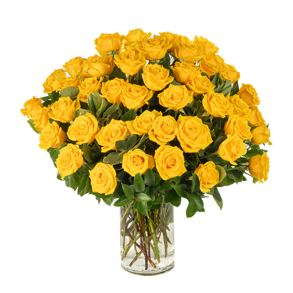 Four Dozen Yellow Long Stem Roses