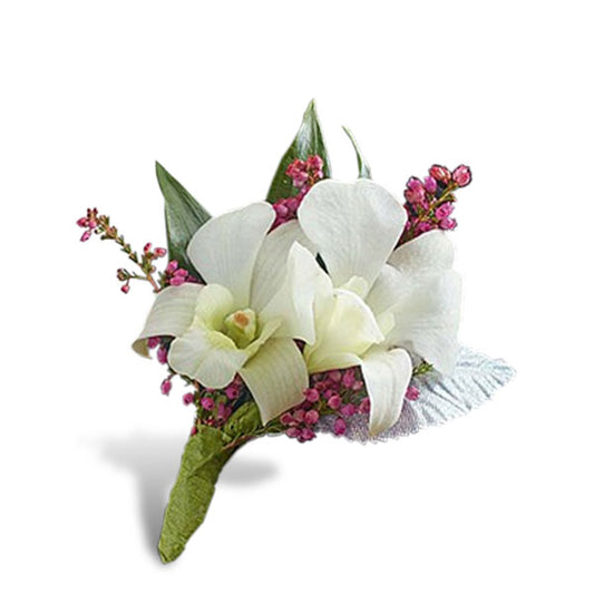 Dendrobium Boutonniere