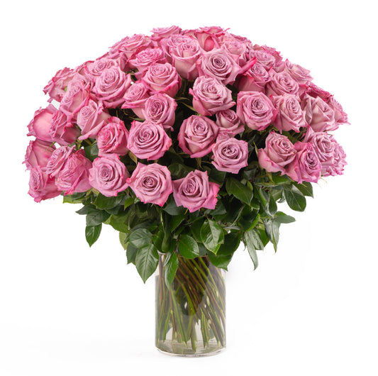 75 Lavender Long Stem Roses