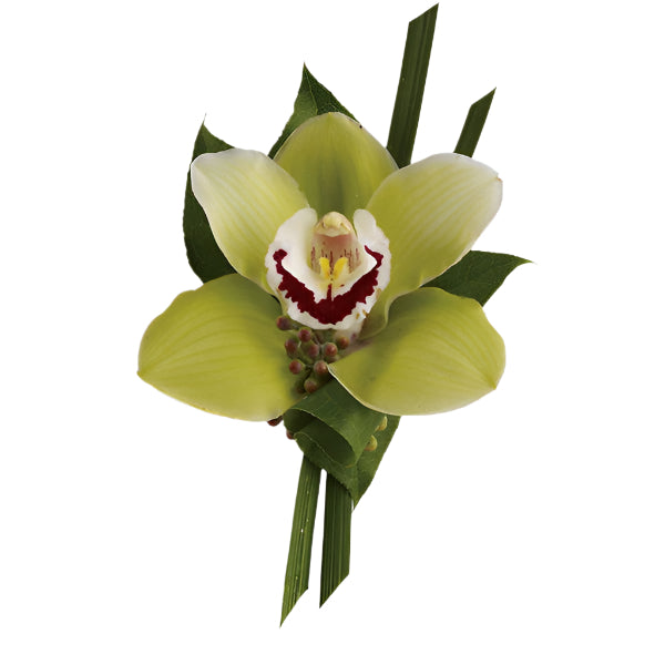 Green Orchid Boutonniere