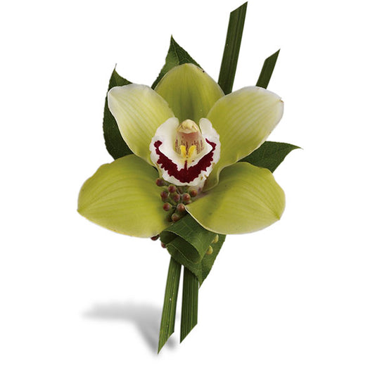 Orchid Boutonniere