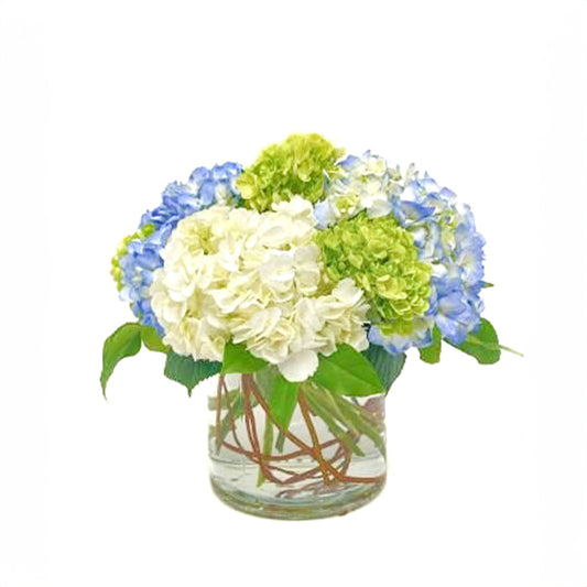 Hydrangea Love