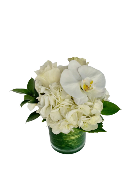 Orchid Cloud