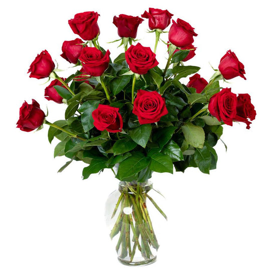 18 Red Long Stem Roses
