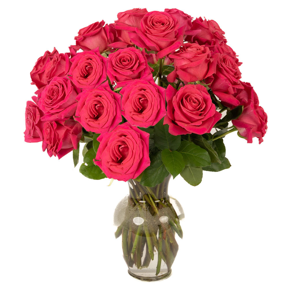 Two Dozen Hot Pink Long Stem Roses