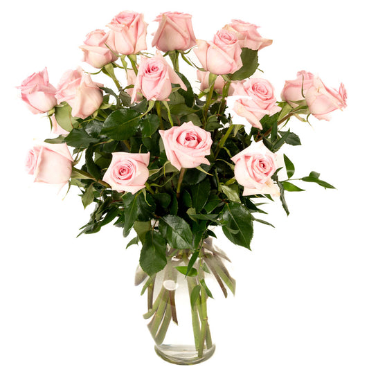 18 Soft Pink Long Stem Roses