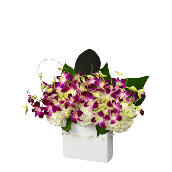 Orchid Obsession