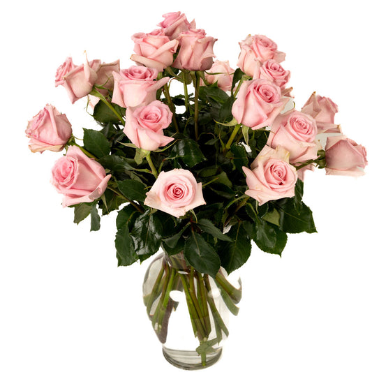 Two Dozen Soft Pink Long Stem Roses